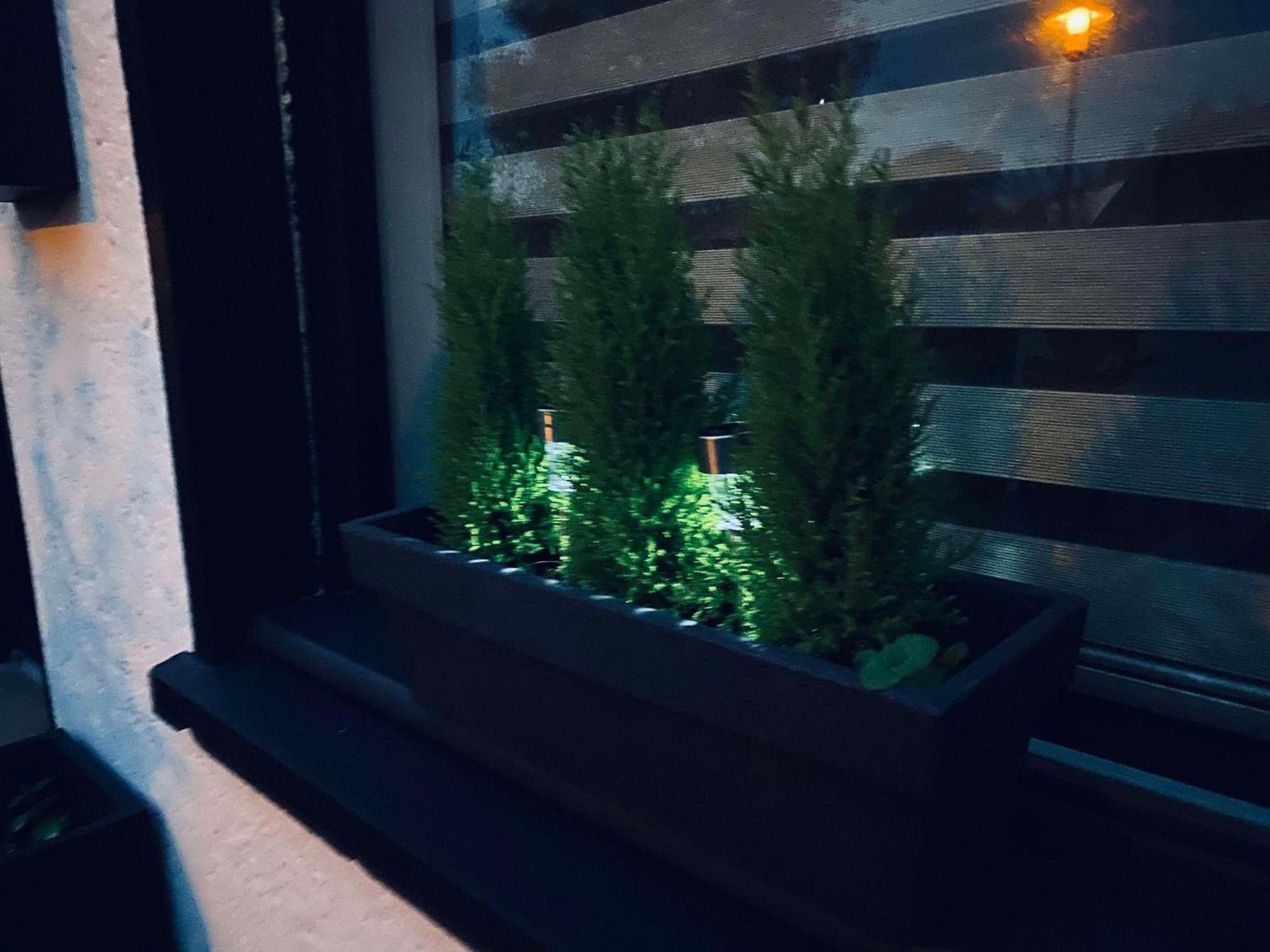 Studio Premium, A 50M Du Lac D'Ardres Avec Terrasse Екстериор снимка